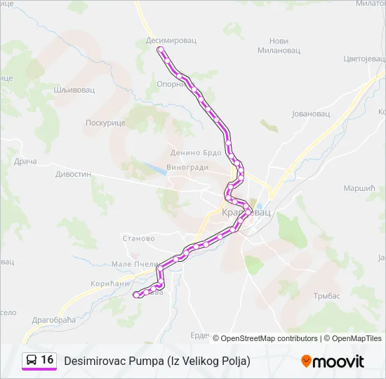 16 Bus Line Map