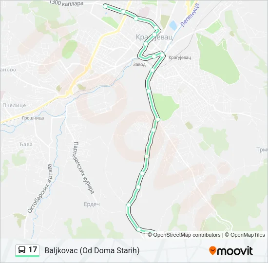 17 Bus Line Map