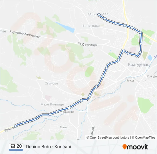 20 Bus Line Map