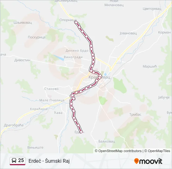 25 Bus Line Map