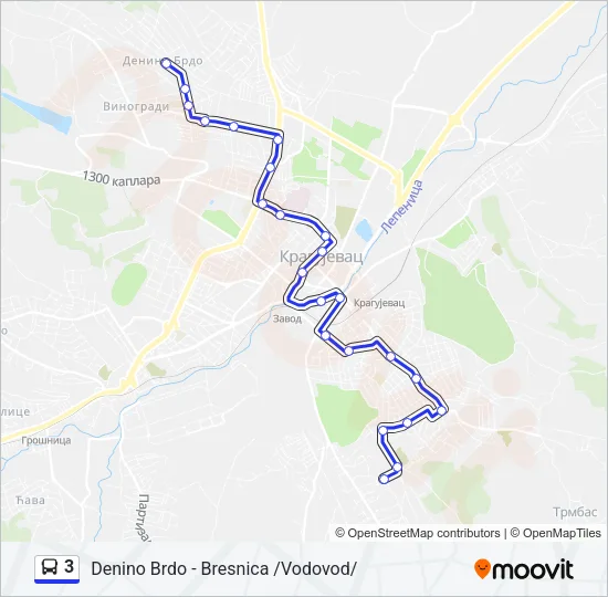 3 Bus Line Map