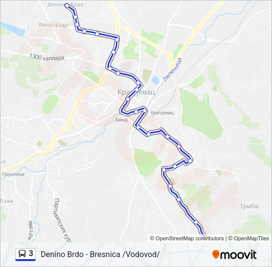 3 Bus Line Map