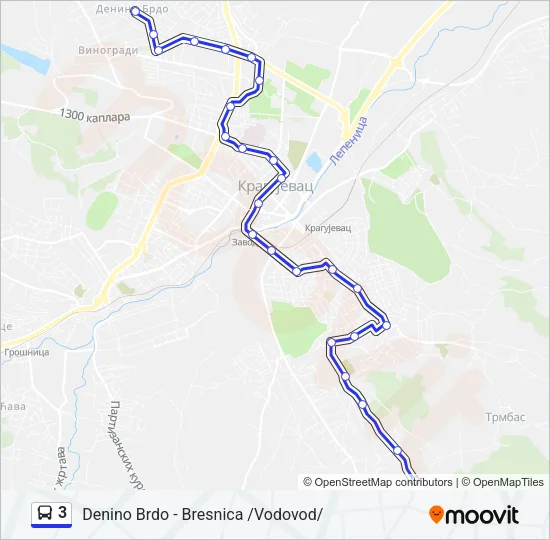 3 Bus Line Map
