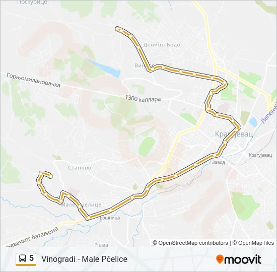 5 Bus Line Map
