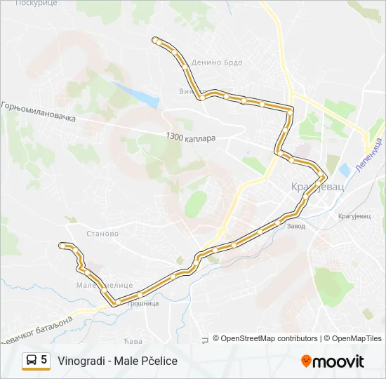 5 Bus Line Map