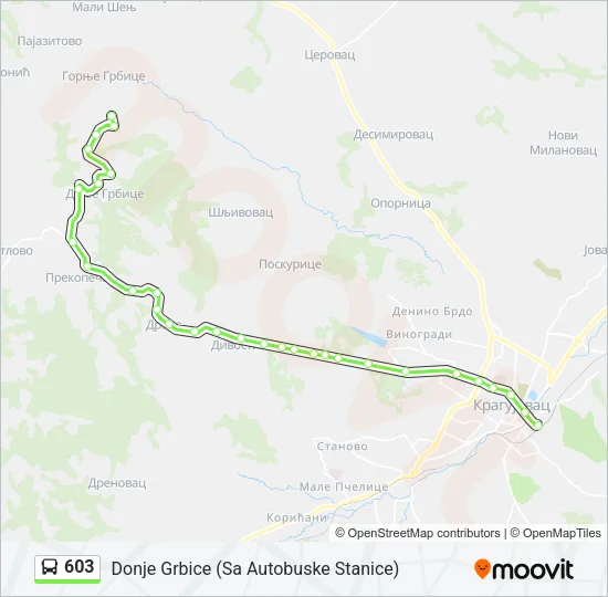 603 Bus Line Map