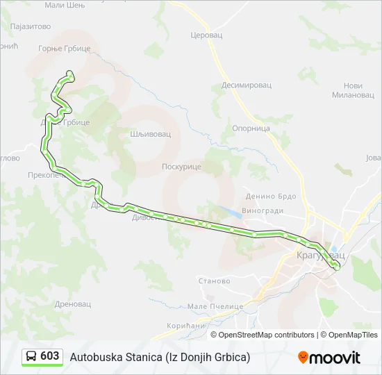 603 Bus Line Map