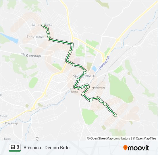 3 autobus mapa linije