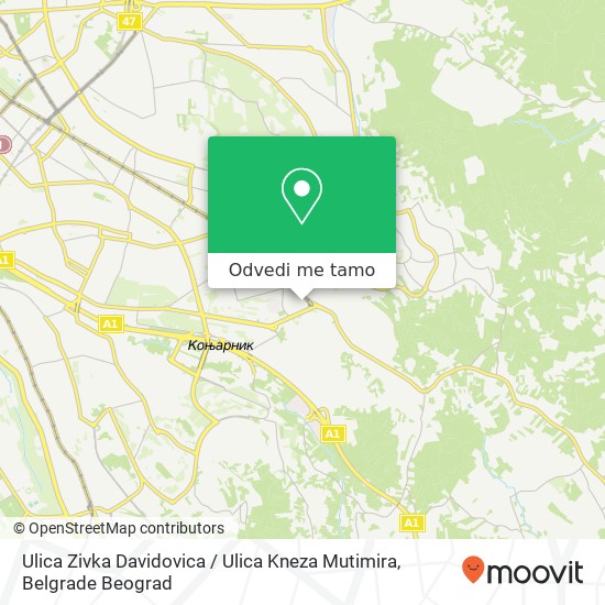 Ulica Zivka Davidovica / Ulica Kneza Mutimira mapa