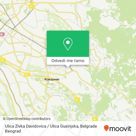 Ulica Zivka Davidovica / Ulica Gusinjska mapa