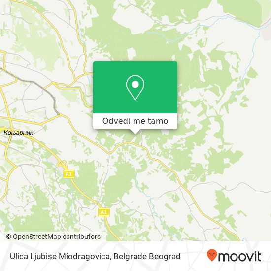 Ulica Ljubise Miodragovica mapa