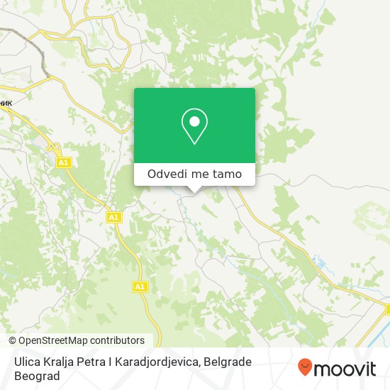 Ulica Kralja Petra I Karadjordjevica mapa