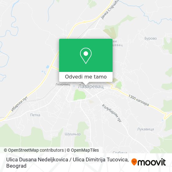 Ulica Dusana Nedeljkovica / Ulica Dimitrija Tucovica mapa