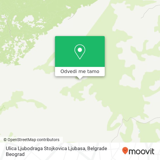 Ulica Ljubodraga Stojkovica Ljubasa mapa