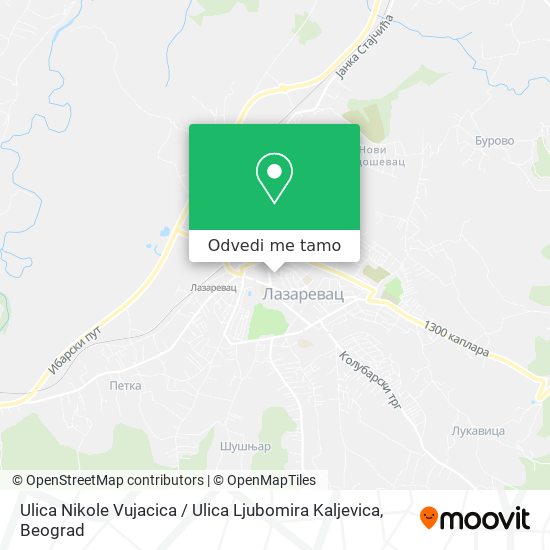 Ulica Nikole Vujacica / Ulica Ljubomira Kaljevica mapa