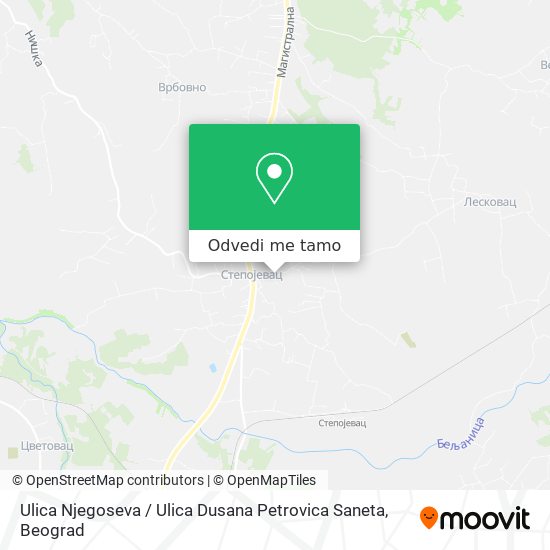 Ulica Njegoseva / Ulica Dusana Petrovica Saneta mapa