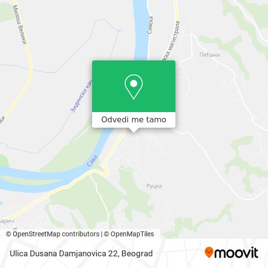 Ulica Dusana Damjanovica 22 mapa