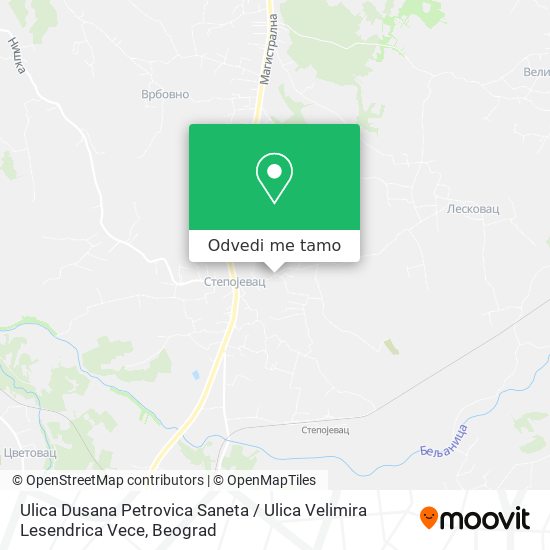 Ulica Dusana Petrovica Saneta / Ulica Velimira Lesendrica Vece mapa