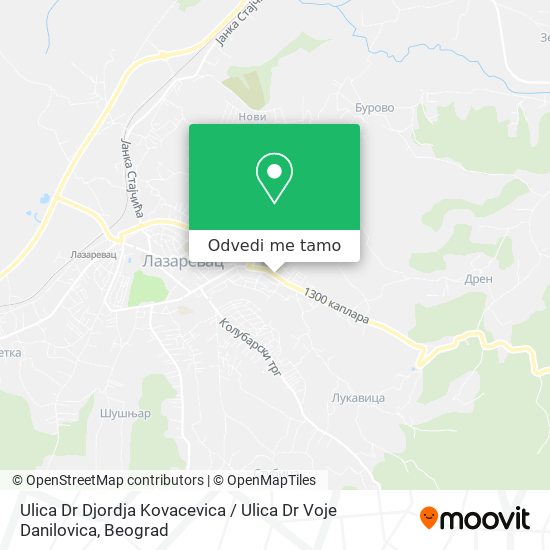 Ulica Dr Djordja Kovacevica / Ulica Dr Voje Danilovica mapa