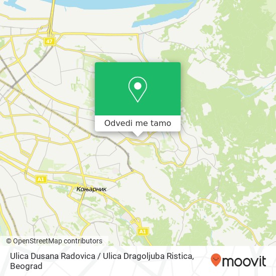 Ulica Dusana Radovica / Ulica Dragoljuba Ristica mapa