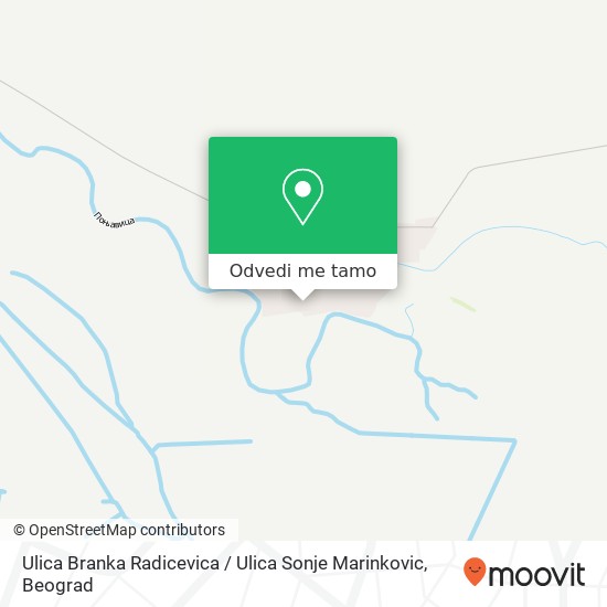 Ulica Branka Radicevica / Ulica Sonje Marinkovic mapa