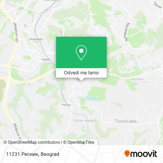 11231 Ресник mapa