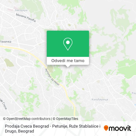 Prodaja Cveca Beograd - Petunije, Ruže Stablašice i Drugo mapa