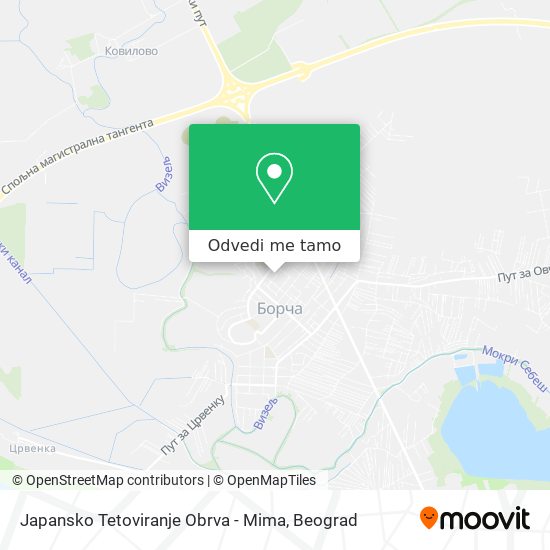 Japansko Tetoviranje Obrva - Mima mapa