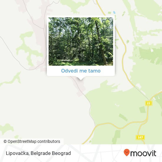 Lipovačka mapa