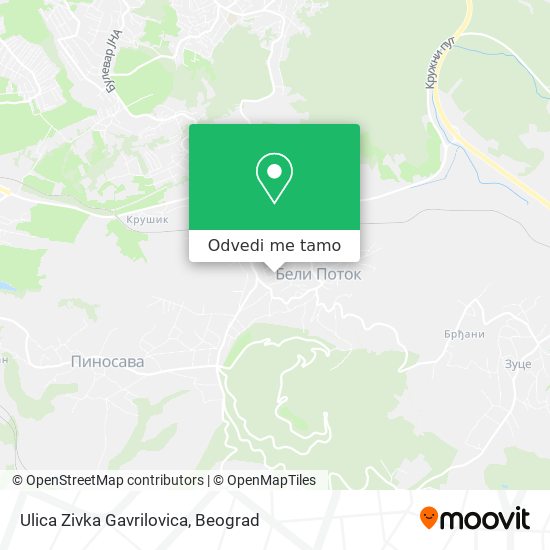 Ulica Zivka Gavrilovica mapa