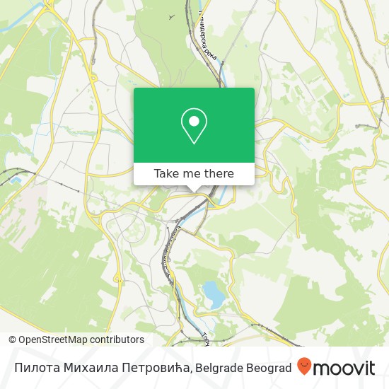 Пилота Михаила Петровића mapa