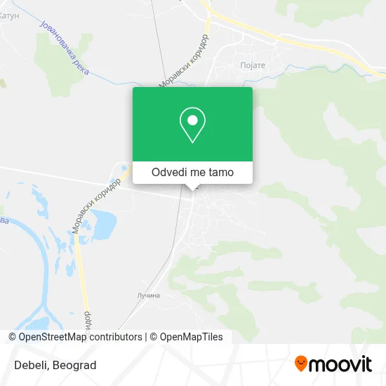 Debeli mapa