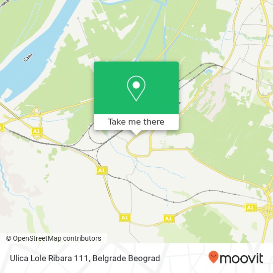 Ulica Lole Ribara 111 mapa