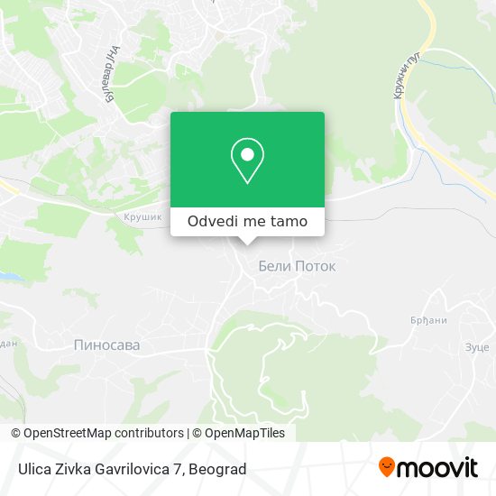 Ulica Zivka Gavrilovica 7 mapa