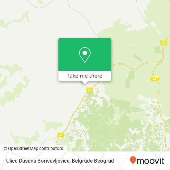 Ulica Dusana Borisavljevica mapa