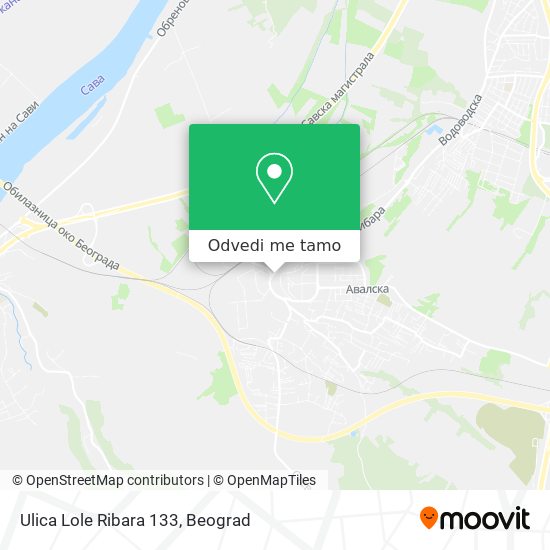 Ulica Lole Ribara 133 mapa