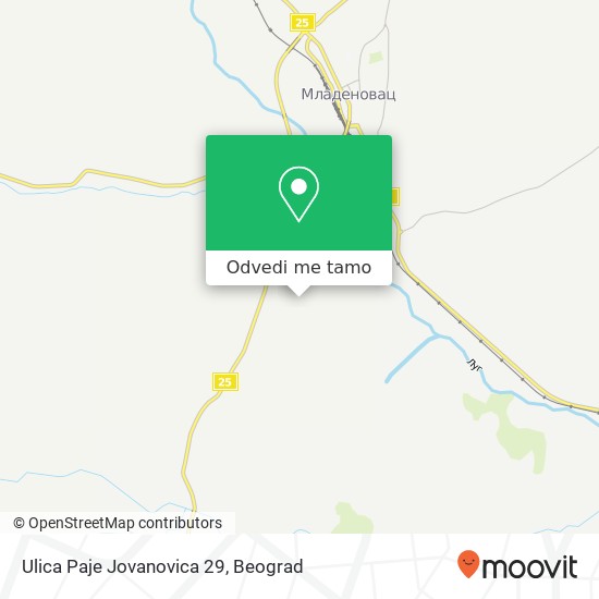 Ulica Paje Jovanovica 29 mapa