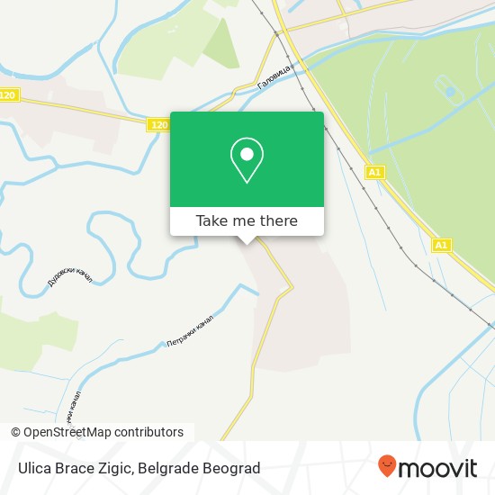 Ulica Brace Zigic mapa