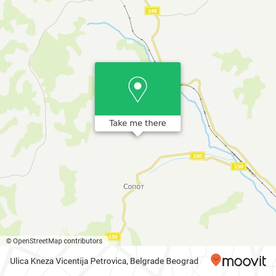 Ulica Kneza Vicentija Petrovica mapa