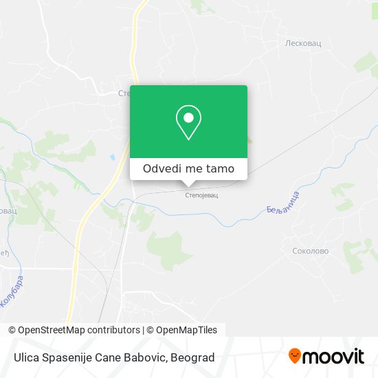 Ulica Spasenije Cane Babovic mapa