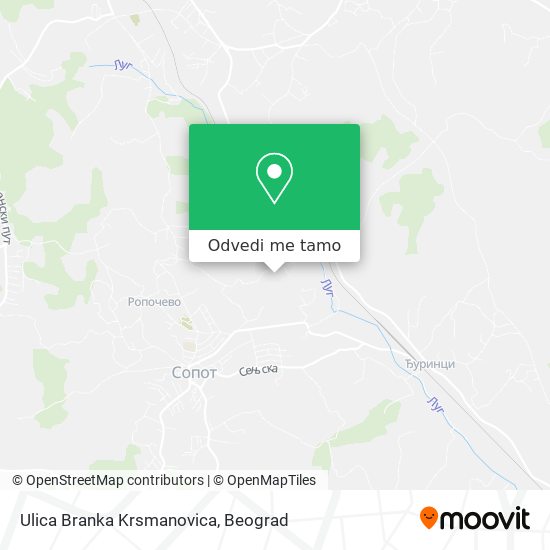 Ulica Branka Krsmanovica mapa