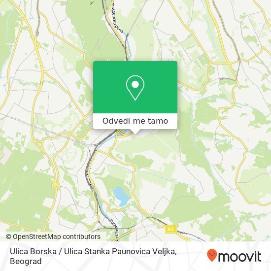 Ulica Borska / Ulica Stanka Paunovica Veljka mapa