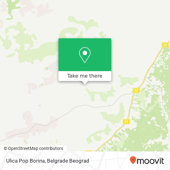 Ulica Pop Borina mapa