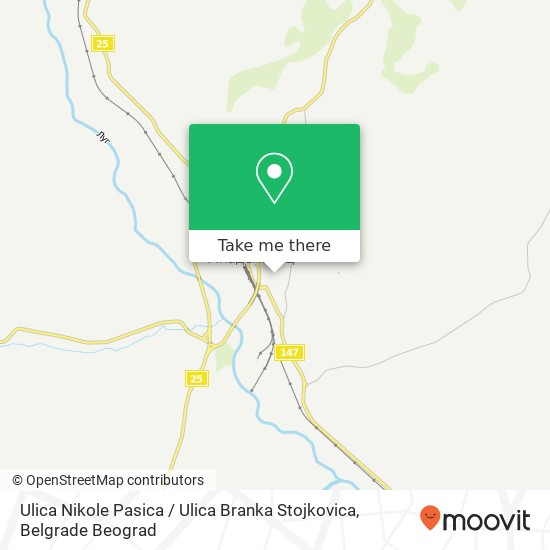 Ulica Nikole Pasica / Ulica Branka Stojkovica mapa