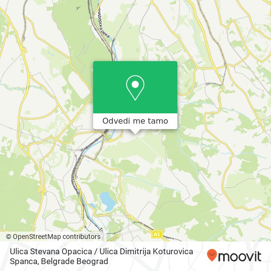 Ulica Stevana Opacica / Ulica Dimitrija Koturovica Spanca mapa