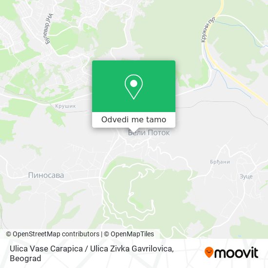 Ulica Vase Carapica / Ulica Zivka Gavrilovica mapa