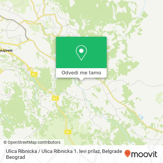 Ulica Ribnicka / Ulica Ribnicka 1. levi prilaz mapa