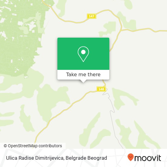 Ulica Radise Dimitrijevica mapa