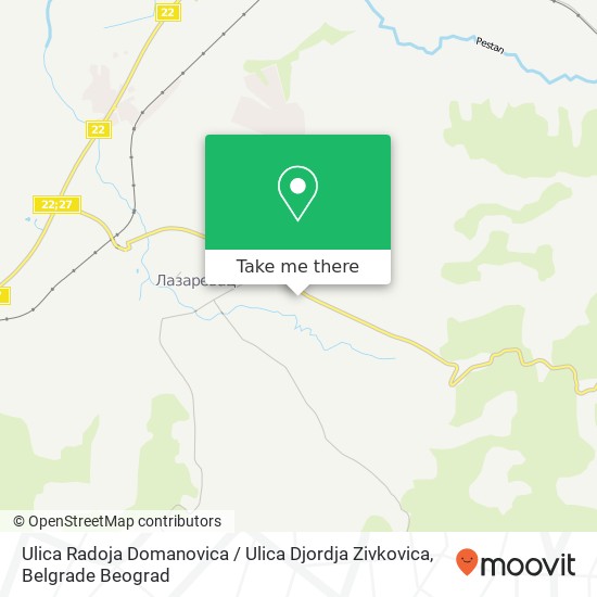 Ulica Radoja Domanovica / Ulica Djordja Zivkovica mapa