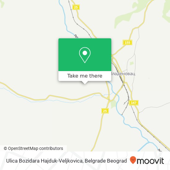 Ulica Bozidara Hajduk-Veljkovica mapa